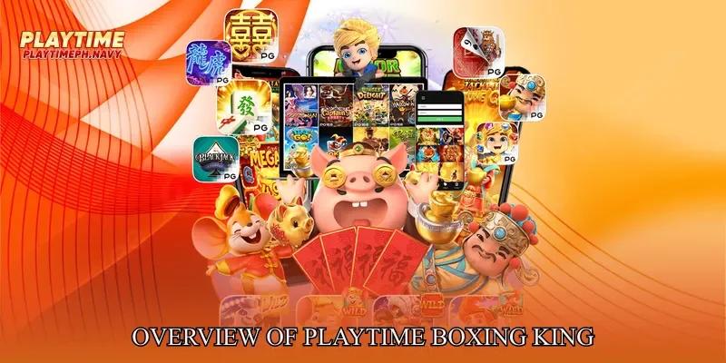 Overview of Playtime Boxing King