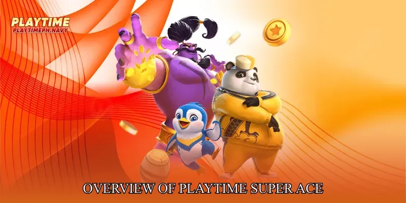 Overview of Playtime Super Ace